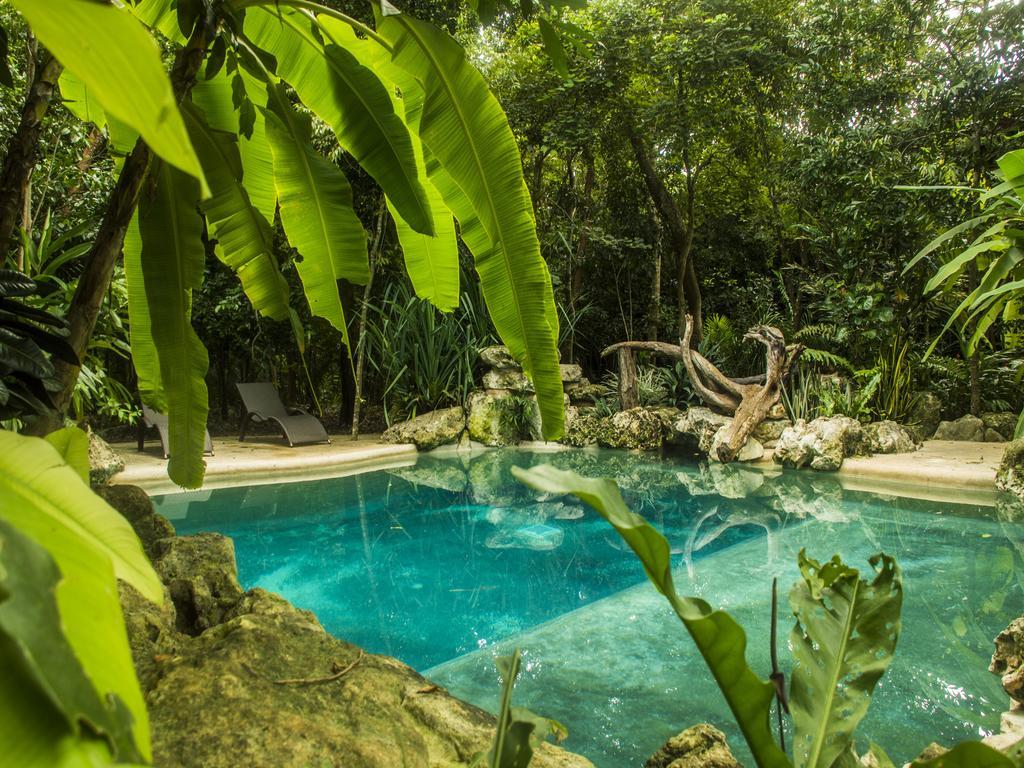 La Hacienda Cancun- El Ramonal, Monkey Sanctuary Hotel Exterior foto